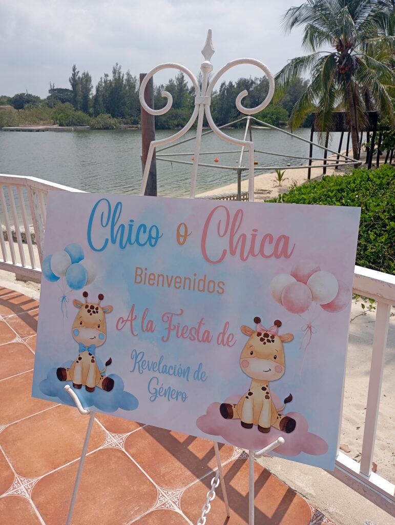 gender reveal parties